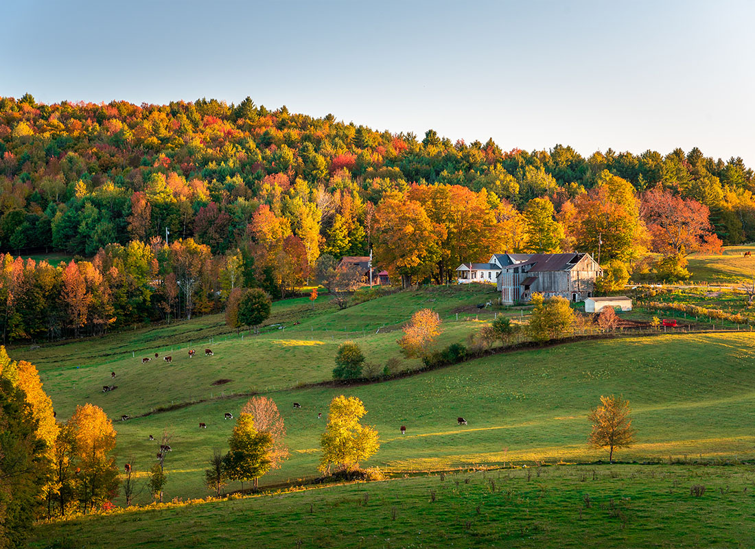 Contact - Farm and Pastureland in a Colourful Autumnal Landscape at Sunset in Vermont